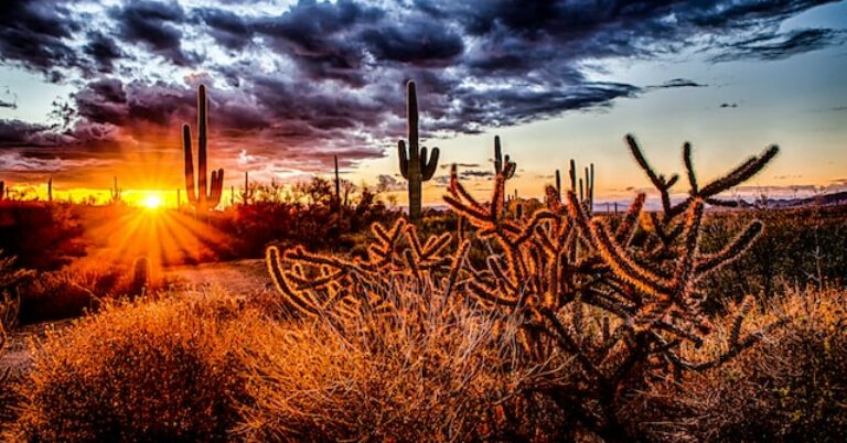 Prosperity Is Possible campaign ends 2023 summer tour in Scottsdale, Arizona